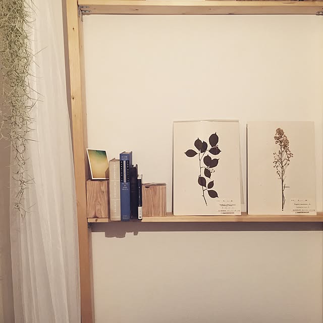 b_to_uさんの実例写真