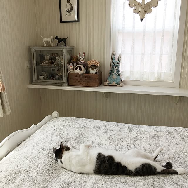 yuchiさんの実例写真