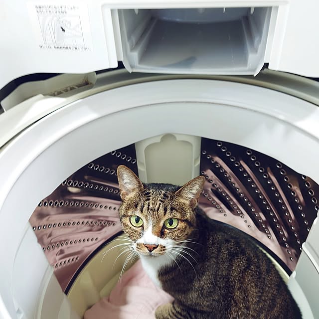 nachiさんの部屋