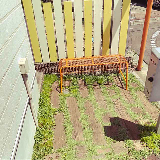 chicoさんの実例写真