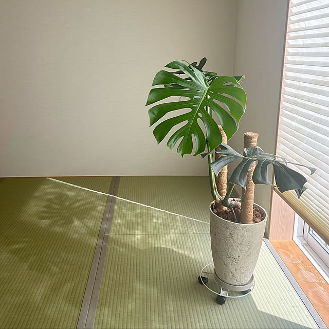 n_ii_w_aさんの実例写真
