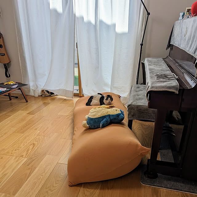 tomatopapaさんの実例写真