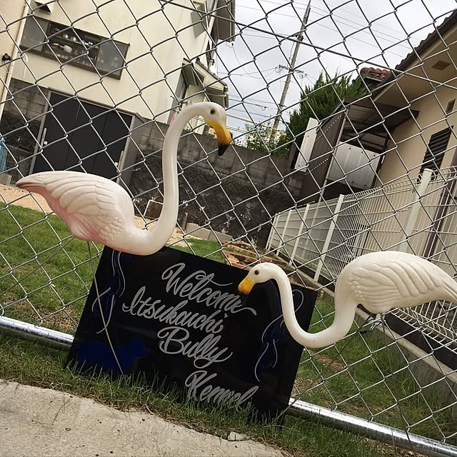 Leftyさんの実例写真