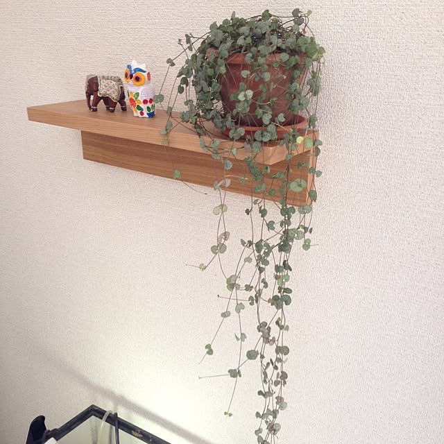 tirolskoさんの実例写真
