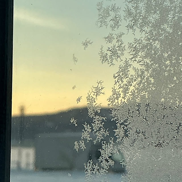 chiiyanさんの部屋