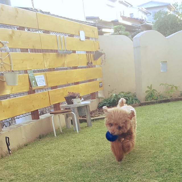 a-tanさんの実例写真