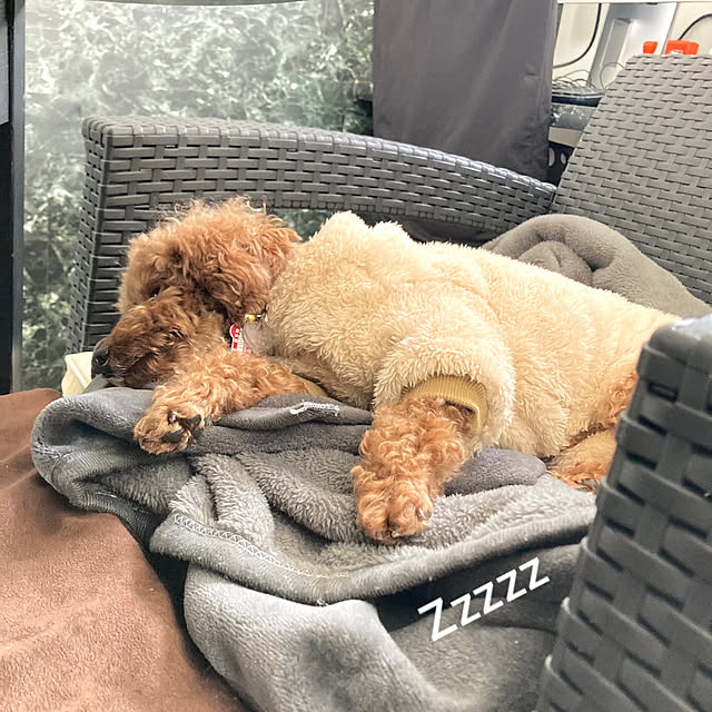 MOMOMAMAさんの実例写真