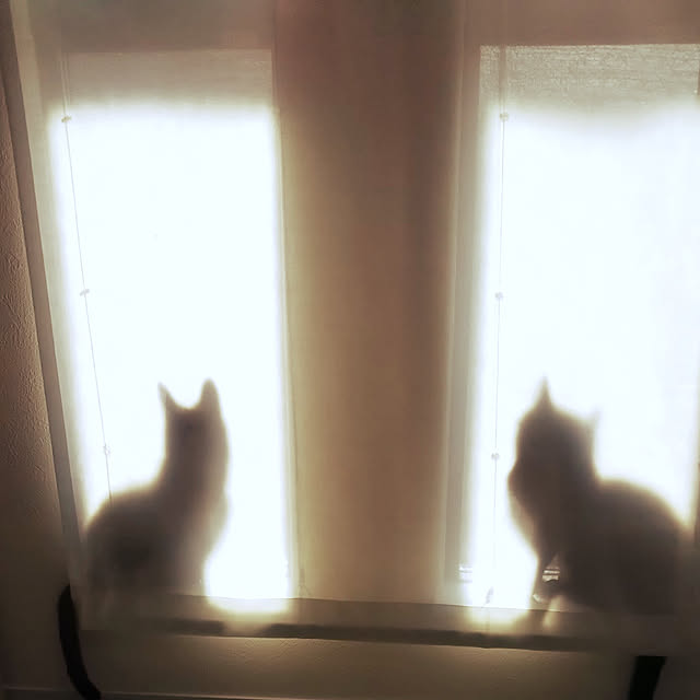 yucchiさんの実例写真