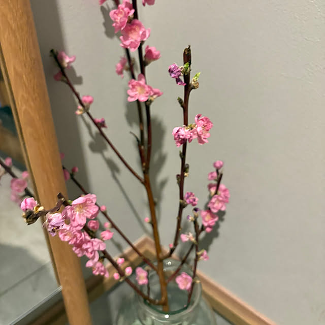 Y33355さんの部屋