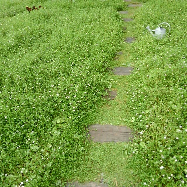 mayutan.さんの実例写真