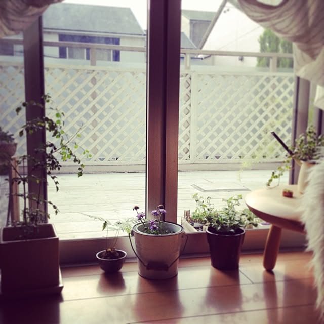 Akikoさんの実例写真