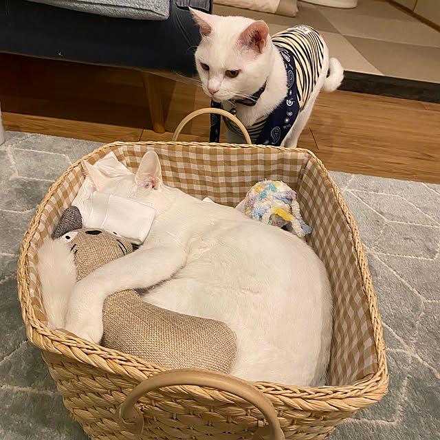 hanaさんの実例写真