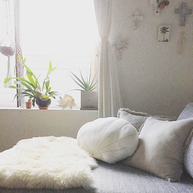 DRIFTWOOD213さんの実例写真