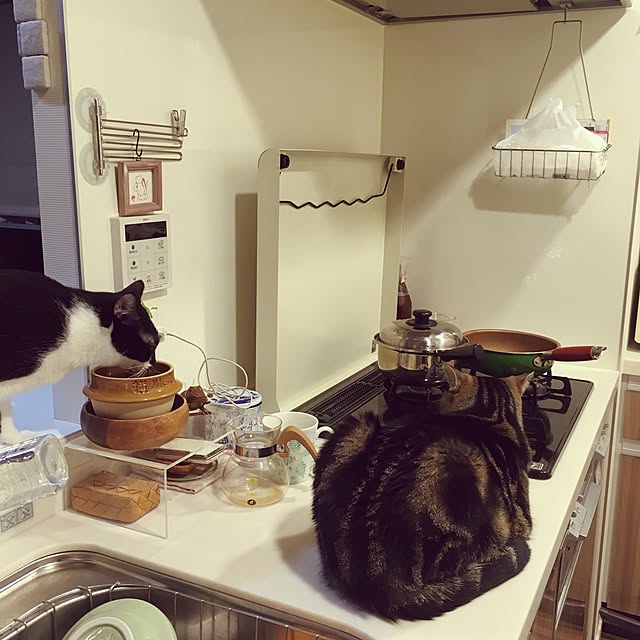 mikomaruさんの実例写真