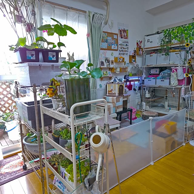 mariaさんの実例写真