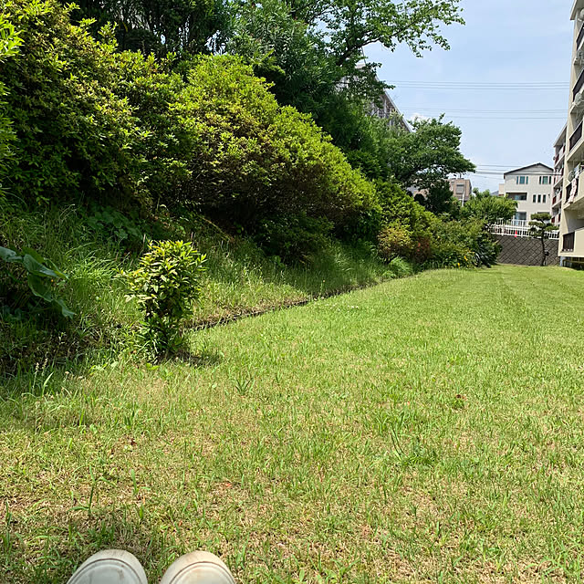 syutmmさんの実例写真