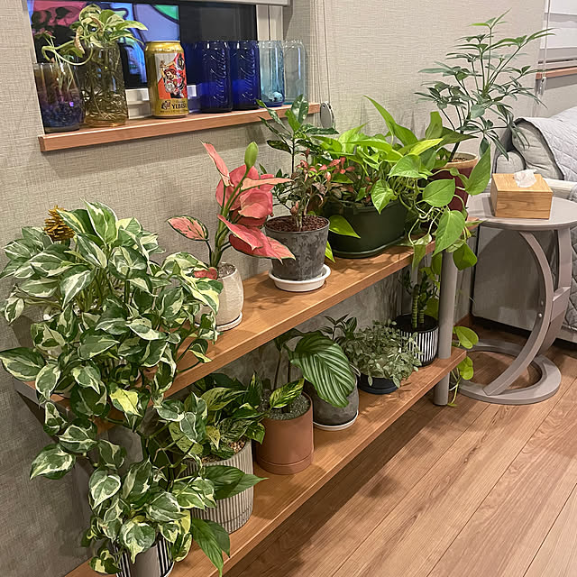 ikuzakさんの部屋
