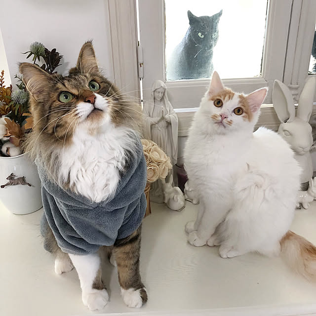 yuchiさんの実例写真