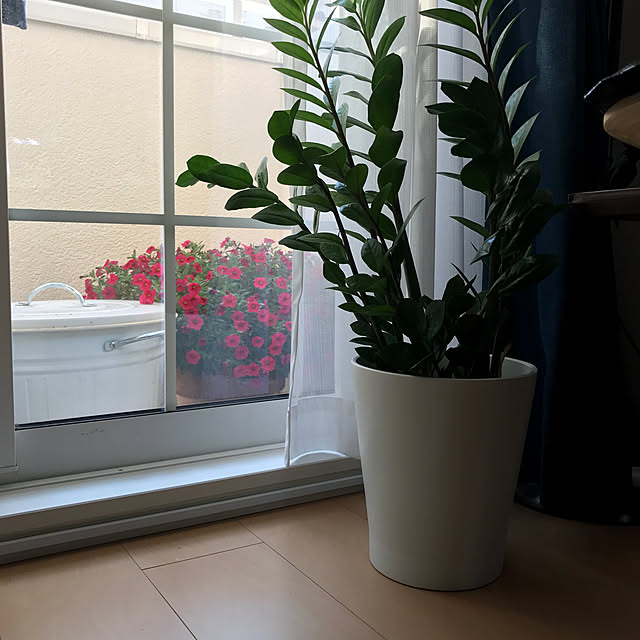 Speakerphoneさんの部屋