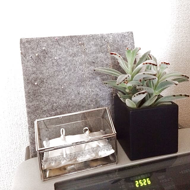 minxxさんの実例写真