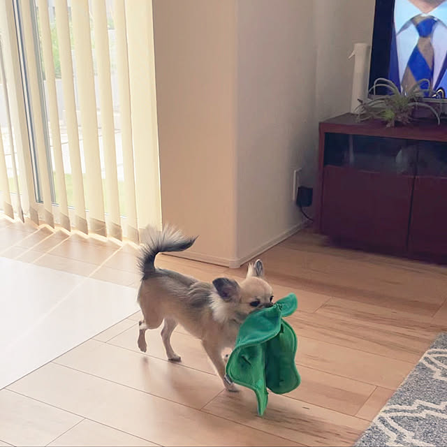 mさんの実例写真