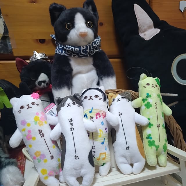 NOAHさんの部屋