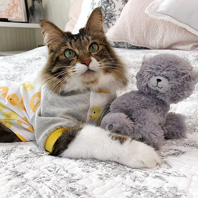 yuchiさんの実例写真