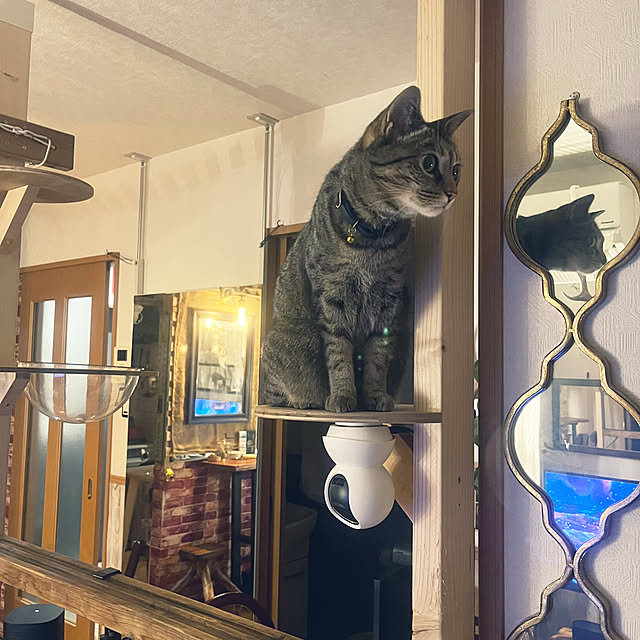Mさんの部屋