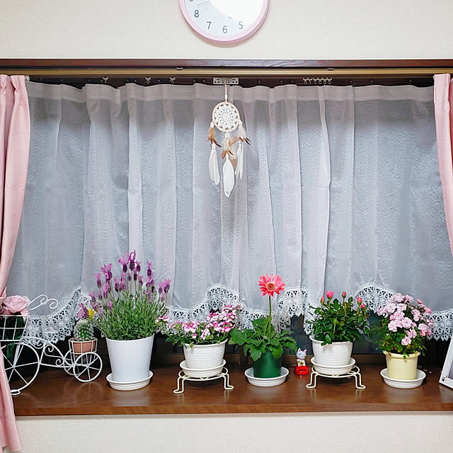 tanpopoさんの実例写真