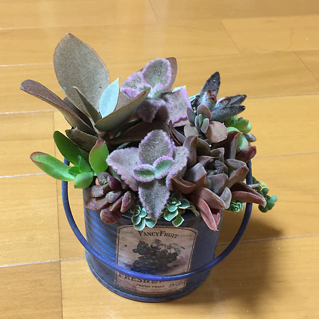 Enjuさんの実例写真
