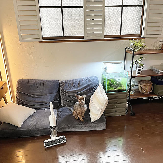 kuroさんの部屋