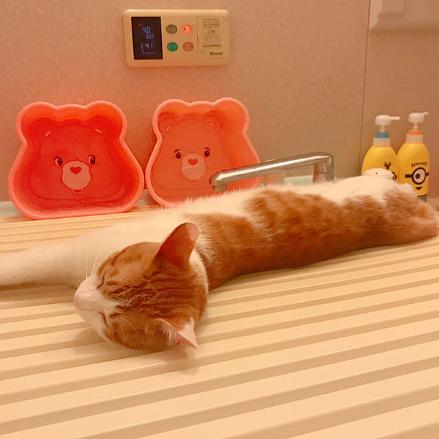 meさんの実例写真