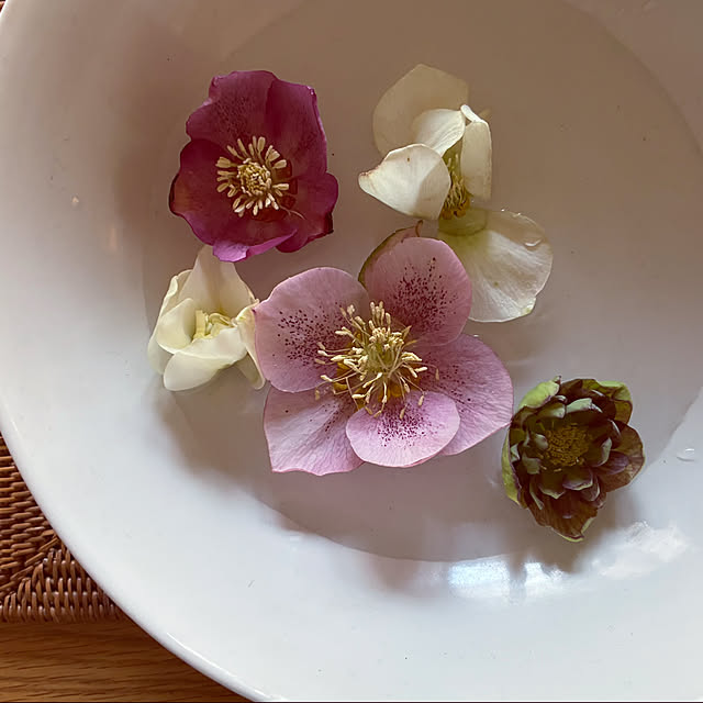 marucoさんの部屋