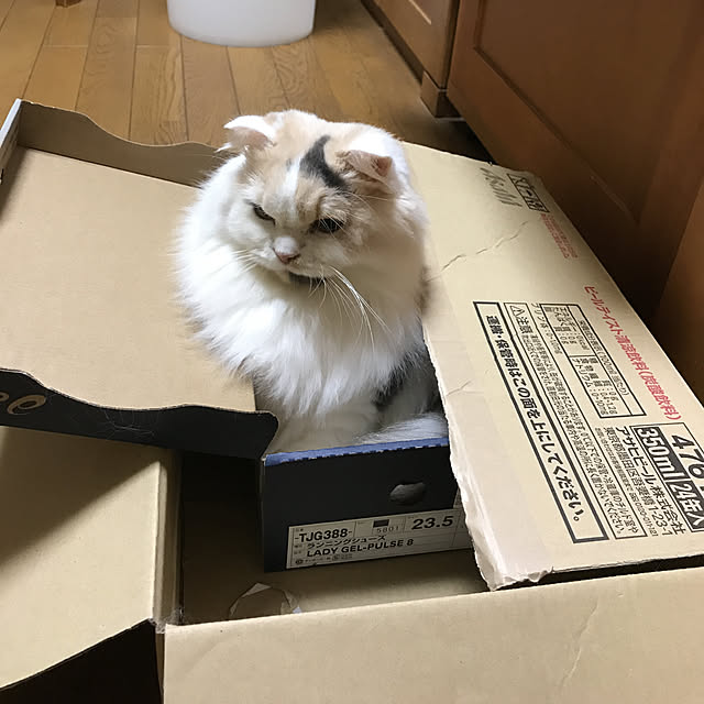 keibooさんの実例写真