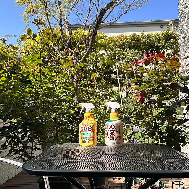 cocoさんの実例写真