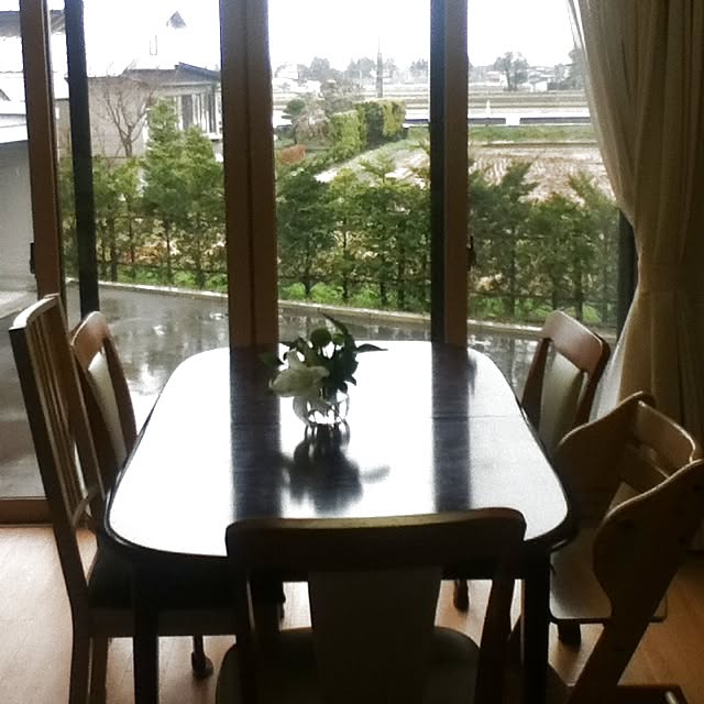 リビング/植物/ダイニングテーブル/景色のインテリア実例 - 2013-04-21 14:42:58