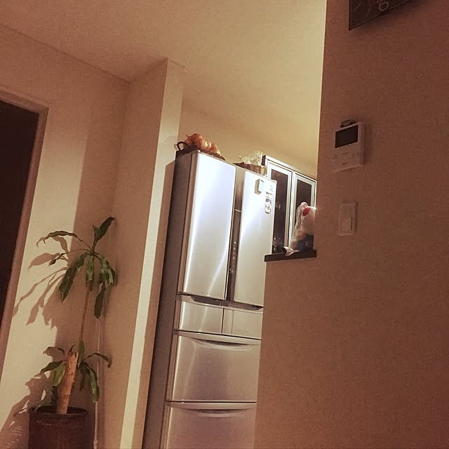 behrouzさんの実例写真