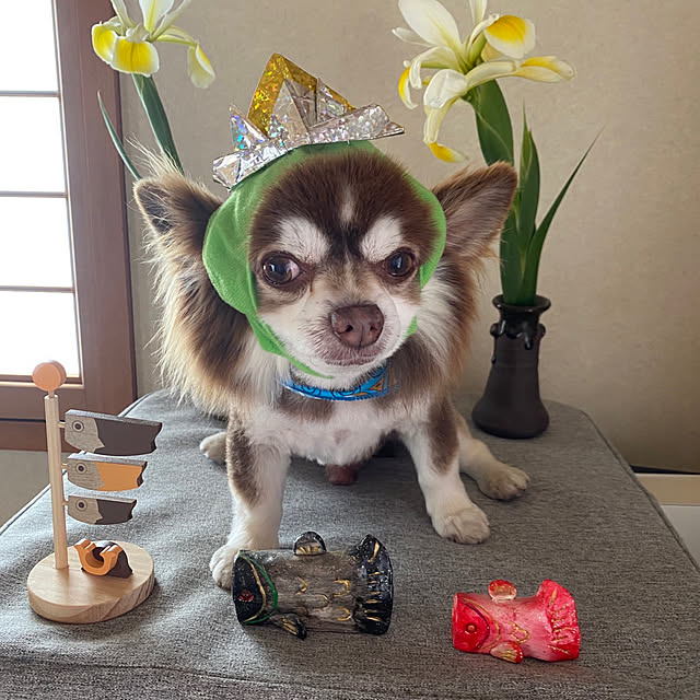 chIoeさんの実例写真