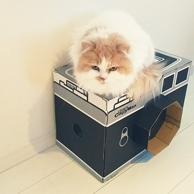 nonkoさんの実例写真