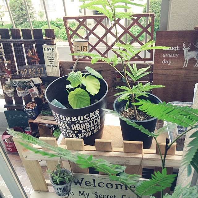 studio-fleurさんの実例写真