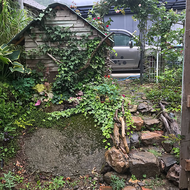 pepeさんの実例写真