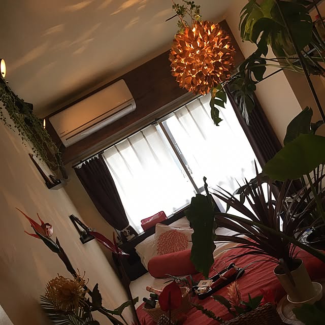 5656takaoさんの実例写真