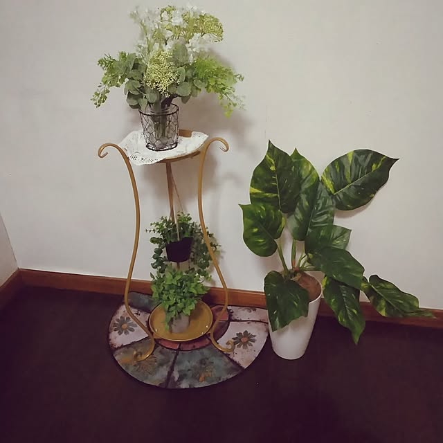 dreamerさんの実例写真