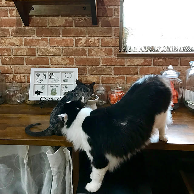 butachanさんの実例写真