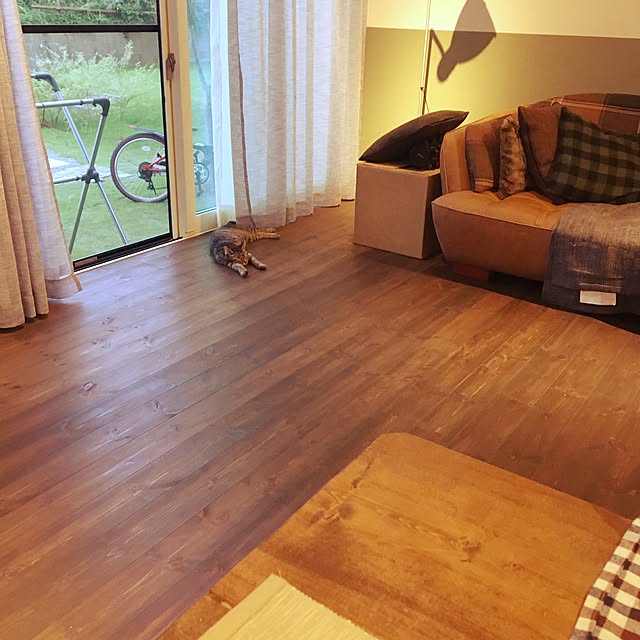 Ikueさんの実例写真