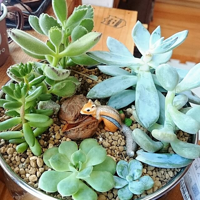 cocomilkさんの実例写真