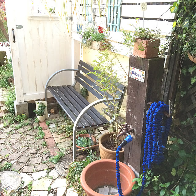 amiさんの実例写真