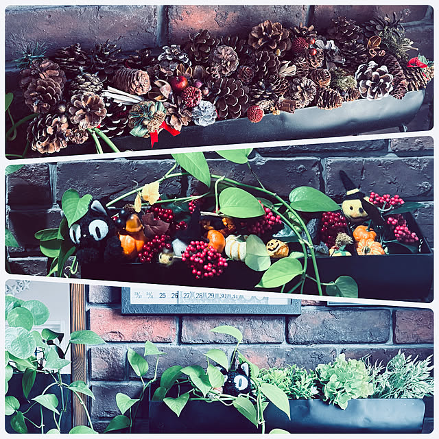 usagiさんの部屋