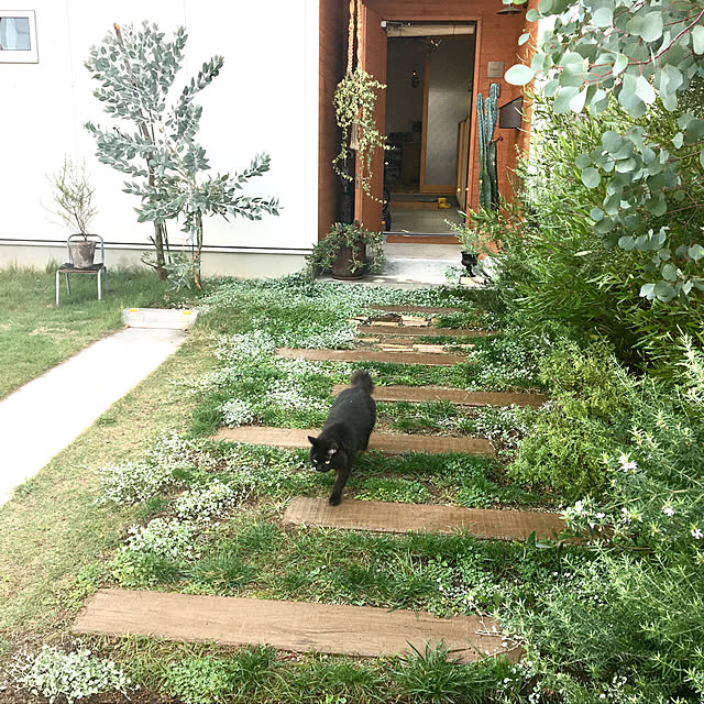green.green.greenさんの実例写真