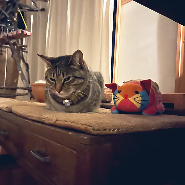 Mさんの実例写真